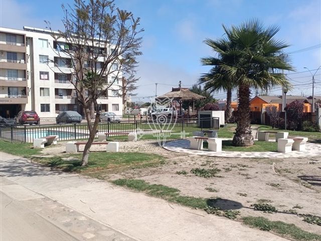 place photo 17