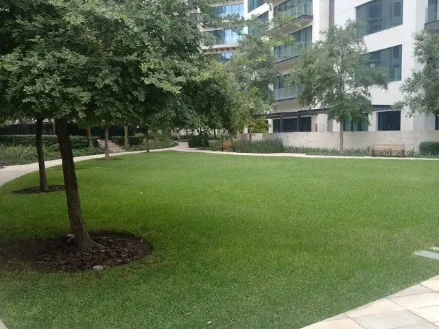 place photo 42