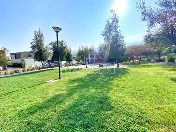 place photo 34