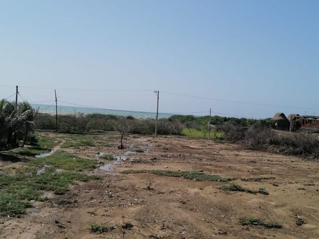 place photo 16