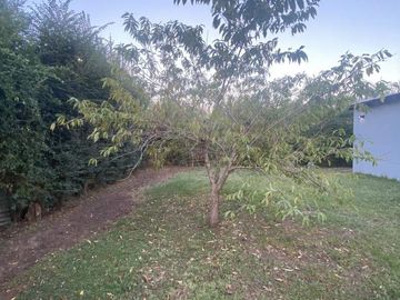place photo 54