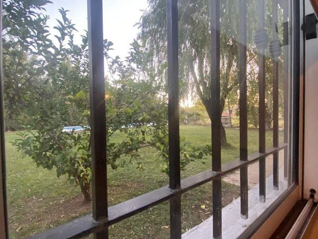 place photo 42
