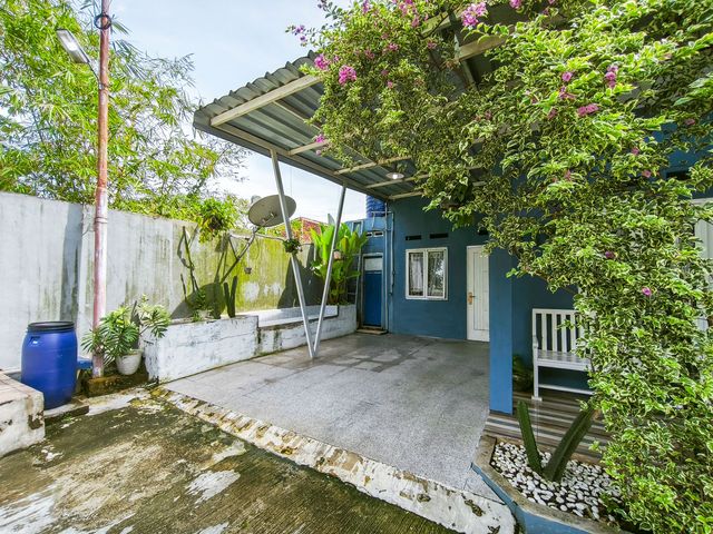 place photo 21