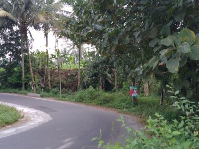 place photo 3