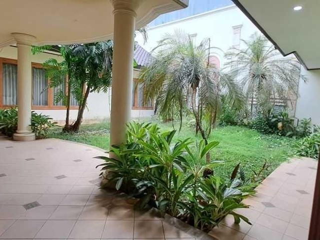 place photo 16