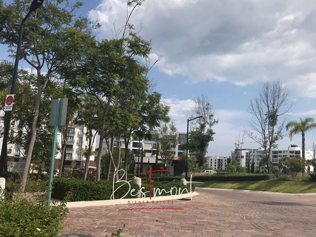 place photo 24
