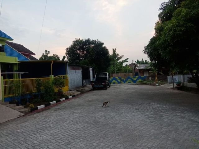 place photo 14