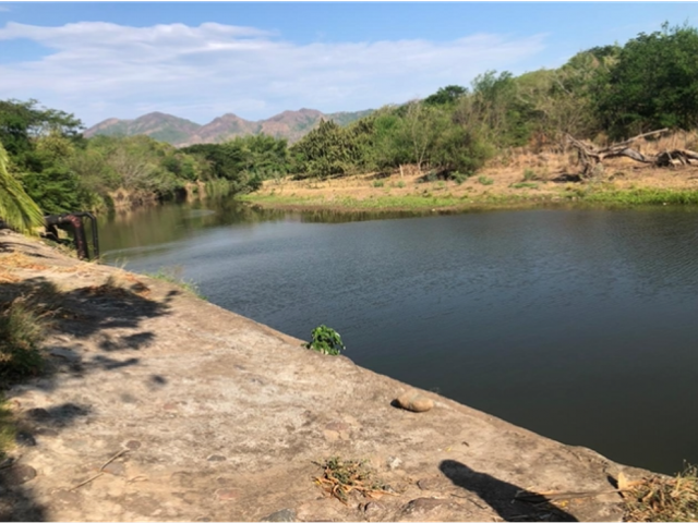 place photo 29