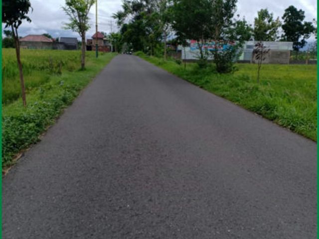 place photo 3