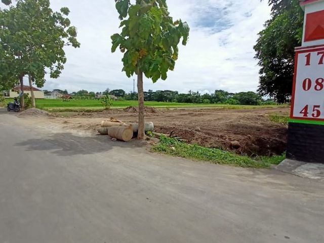 place photo 3