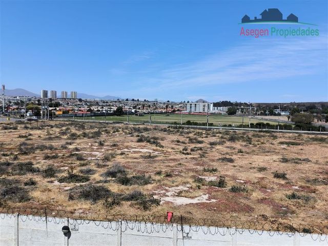 place photo 38