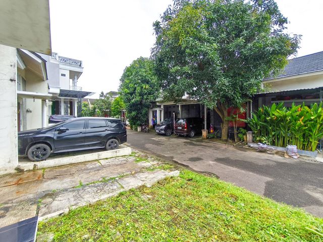 place photo 35