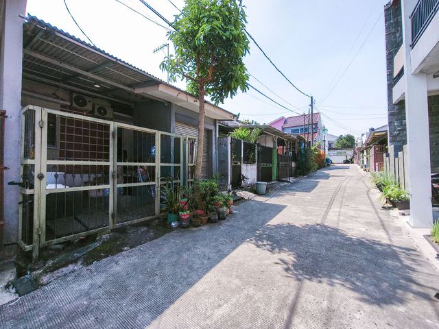 place photo 19