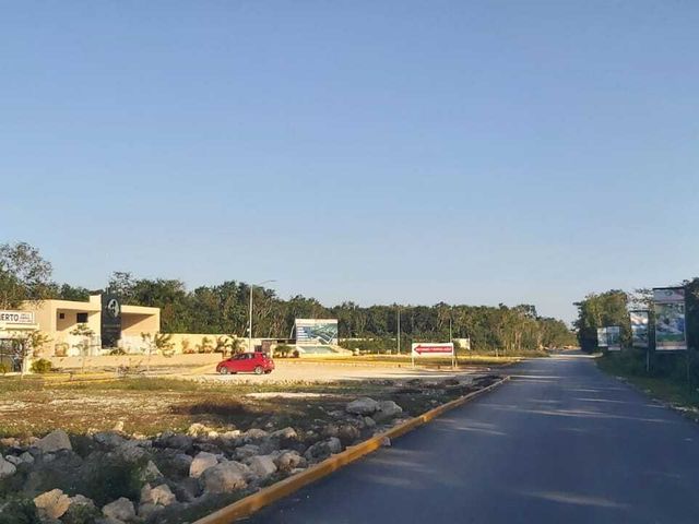place photo 12