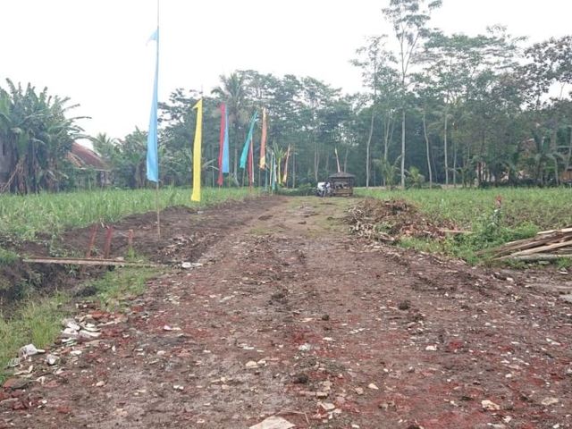 place photo 2
