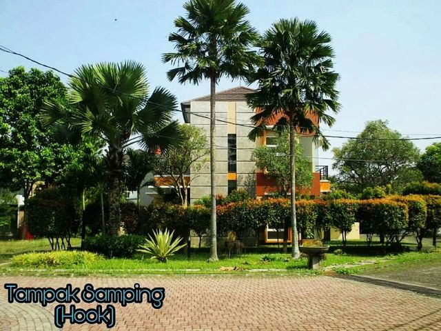 place photo 11