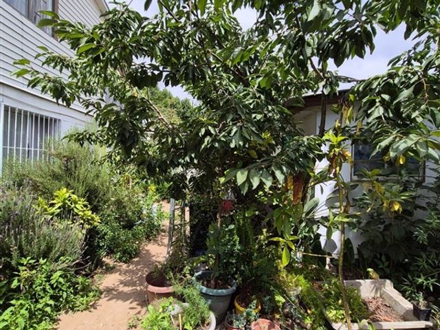 place photo 30