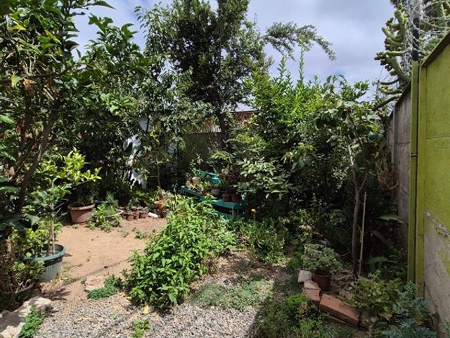 place photo 38