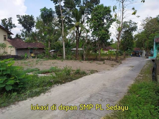 place photo 7
