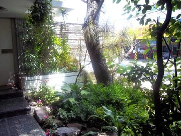 place photo 39