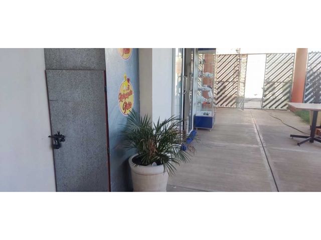 place photo 15