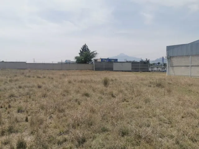 place photo 14