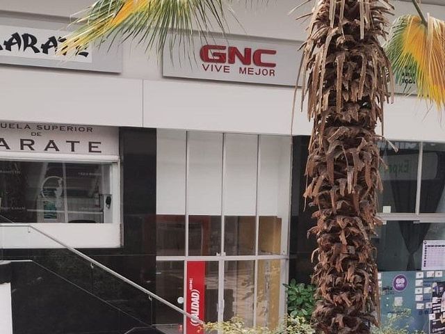 place photo 8