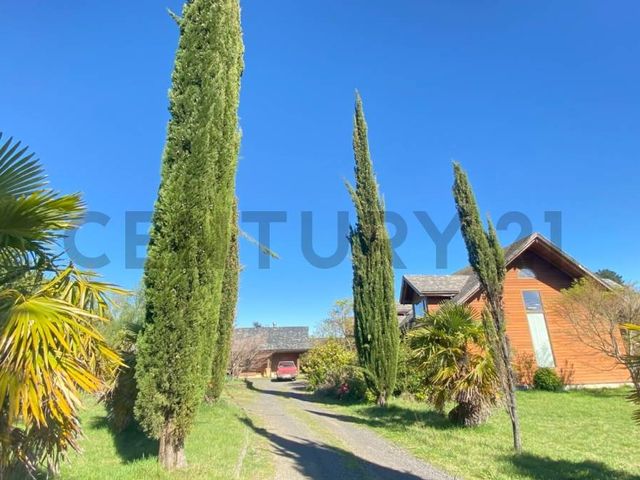 place photo 37
