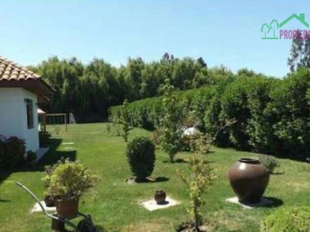place photo 37