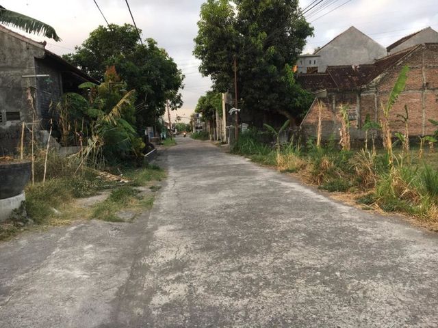 place photo 7