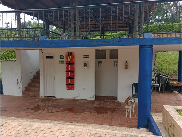 place photo 23