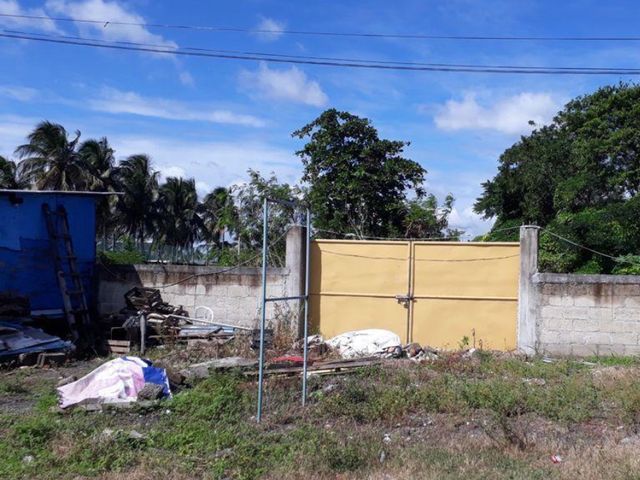 place photo 7