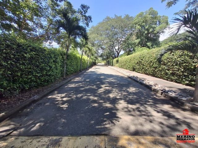 place photo 24