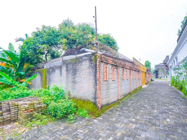 place photo 68