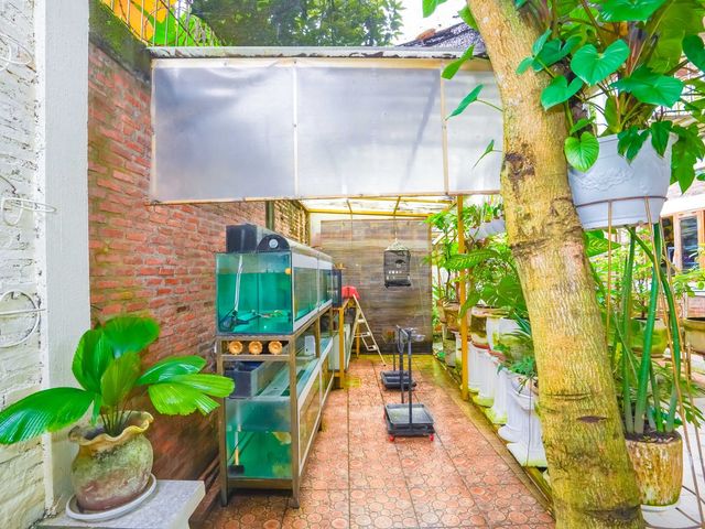 place photo 41