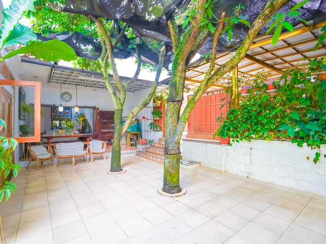 place photo 47