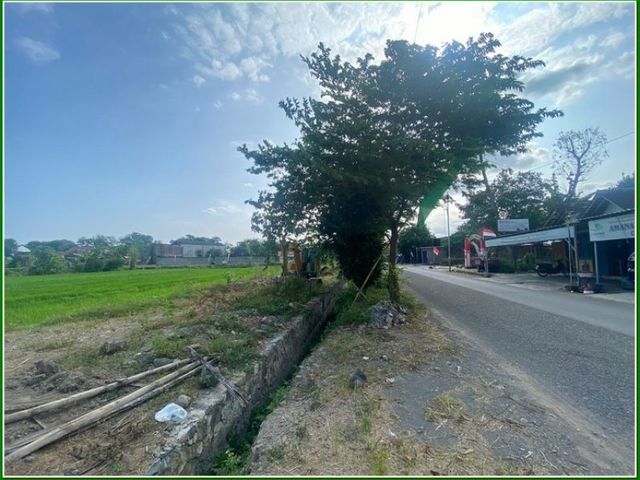 place photo 5
