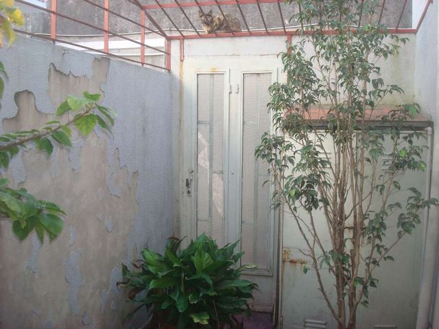place photo 18