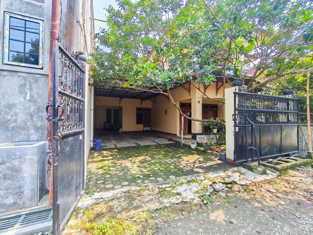 place photo 76