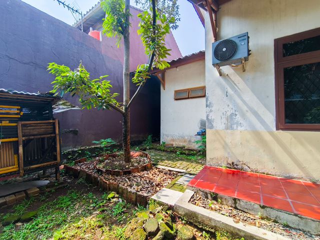 place photo 45