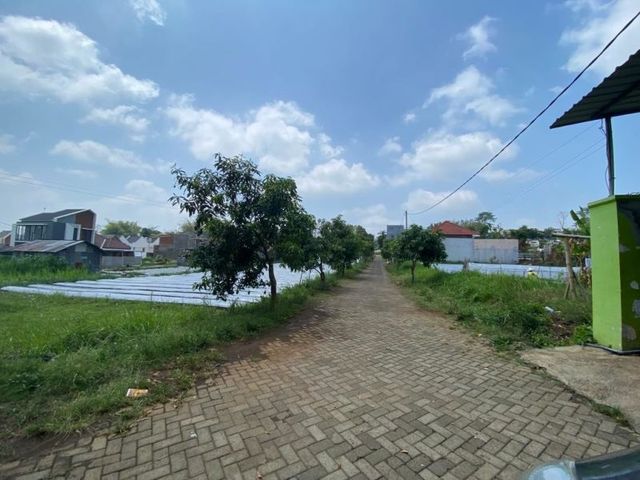 place photo 7