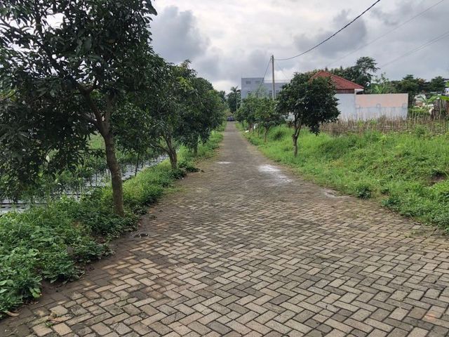 place photo 6