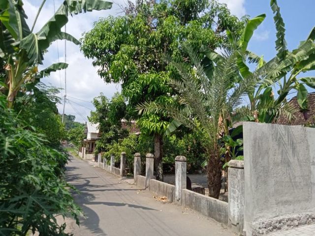 place photo 4