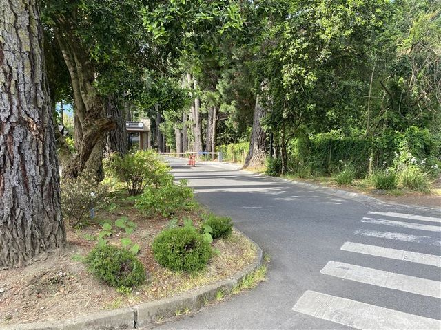 place photo 30