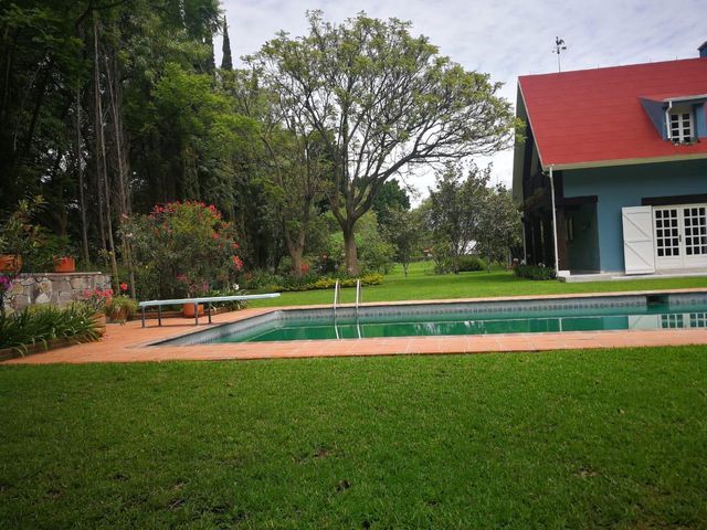 place photo 38