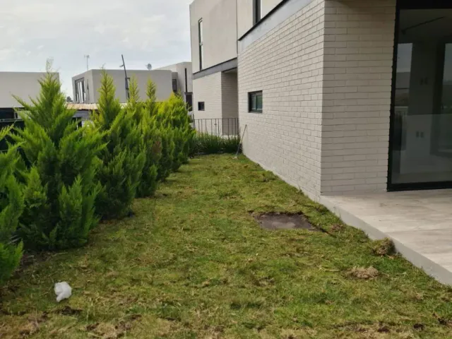 place photo 43