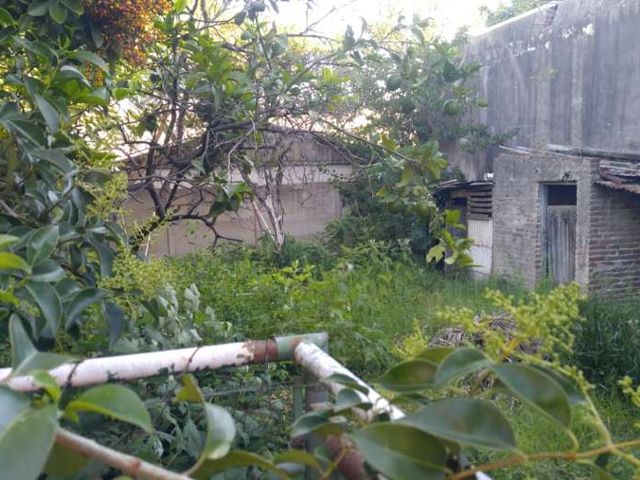 place photo 6