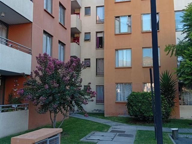place photo 28