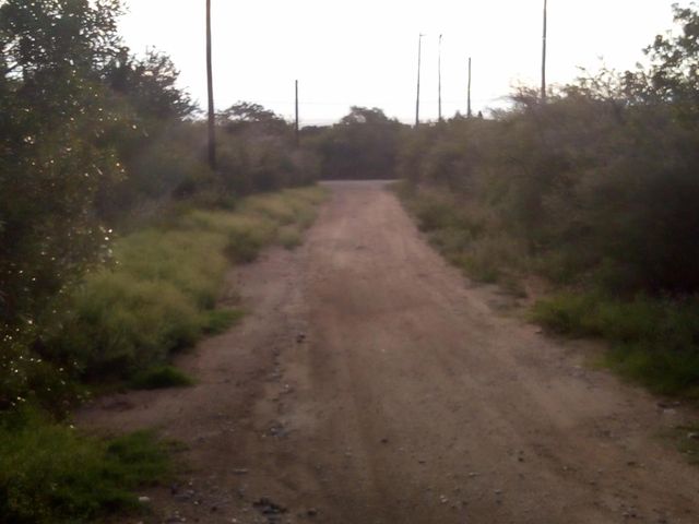 place photo 8