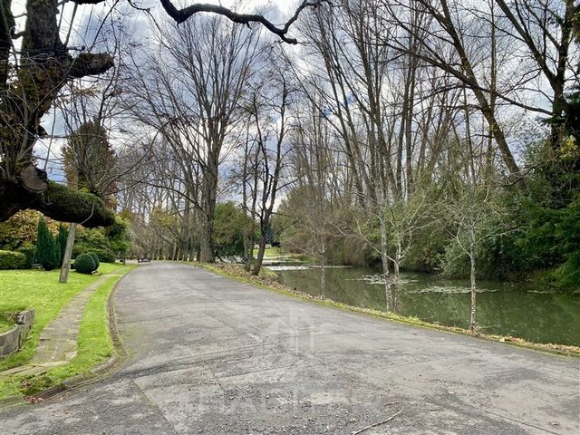 place photo 46